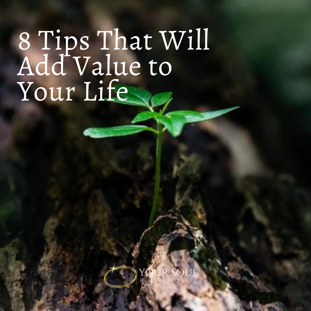 How Do You Add Value To Your Life