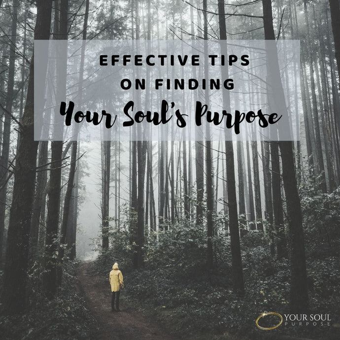 Effective Tips on Finding Your Soul's Purpose