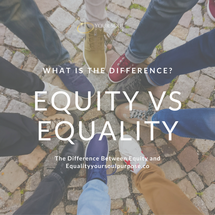 Equity VS Equality: What is the Difference?